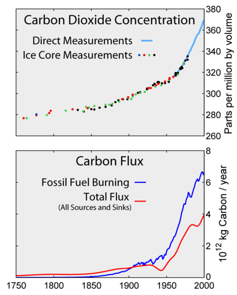 Carbon Dioxide Concentration and Flux