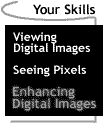 Image that says Your Skills: Enhancing Digital Images.