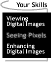Image that says Your Skills: Seeing Pixels.