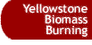 Button that takes you to the Yellowstone Biomes Burning page.