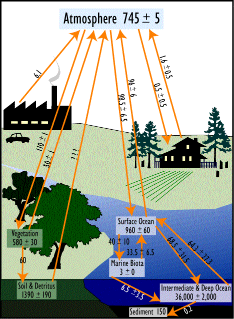 Image of a diagram which shows the carbon cycle with a mass of carbon.  Please have someone assist you with this.