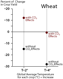 Image of a graph that displays the comparison of global average temperature for each crop increase to the percentage of change in crop yield.  Please have someone assist you with this.