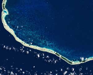 Image of coral bleaching in French Polynesia.