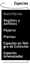 Botn que te lleva a la pgina de Especies.