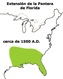 Imagen de un mapa que muestra el cambio en rea de campeo de la Pantera de Florida desde el 1500 DC hasta el presente.