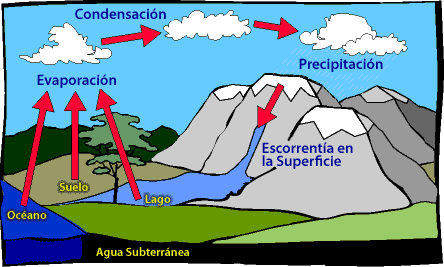 Imagen que muestra el ciclo del agua. Por favor busca a alguien que te asista con esto.