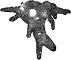 Imagen de una ameba.