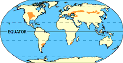 Image of a world map that displays where the temperate grasslands are located. Please have someone assist you with this.