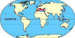 Image of a world map that displays where the chaparral biome is located.  Please have someone assist you with this.