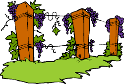 Image of a grape arbor.