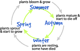 Image showing the cycle of seasons as it relates to the life cycle of plants. Please have someone assist you with this.
