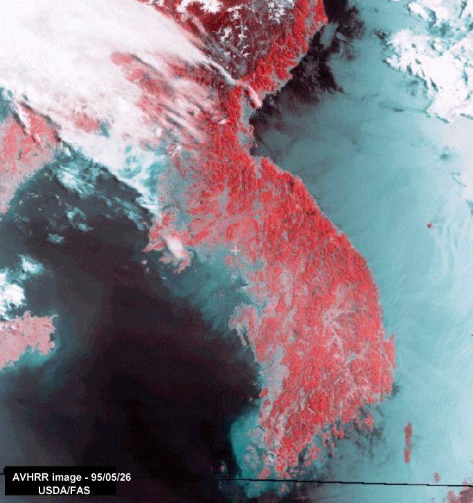 Image of a AVHRR false-color which shows almost all of the Korean peninsula. Vegetation shows up in shades of pink and red, clouds in white, the seas in blues and blacks, and cities in gray-blue. Please have someone assist you with this. 