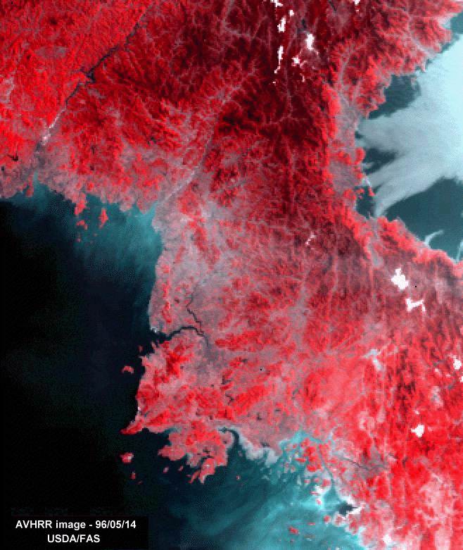 Image of an AVHRR false-color which shows much of North Korea in detail. Vegetation is red, cities are gray, and oceans are blue.  Please have someone assist you with this.