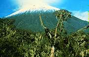 Image of Mount Karisimbi, the highest of the Virunga volcanoes, is often capped by snow.