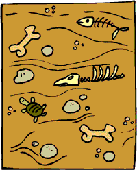 Image of some fossils in the dirt.