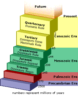 Image showing the Staircase of Time.  Please have someone assist you with this.