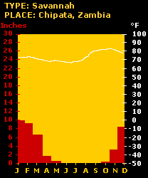 Image of a climograph for Chipata, Zambia.  Please have someone assist you with this.