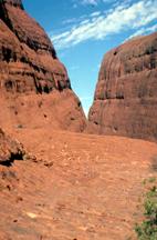 Image of a desert.