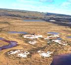 Image that shows a portion of the Arctic Tundra landscape.