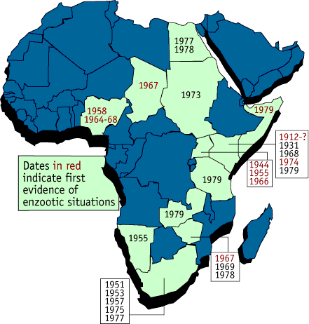 Image that shows the continent of Africa and the dates of reported epizootic outbreaks.  Please have someone assist you with this.