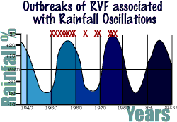 Image of a graph showing the Outbreaks of RVF associated with rainfall oscillations. This image links to a more detailed image.