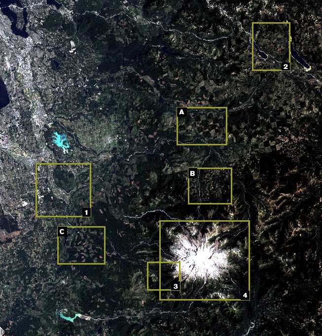 Image showing part of a Landsat Thematic Mapper (TM) of the area around Mount Rainier.  Please have someone assist you with this.