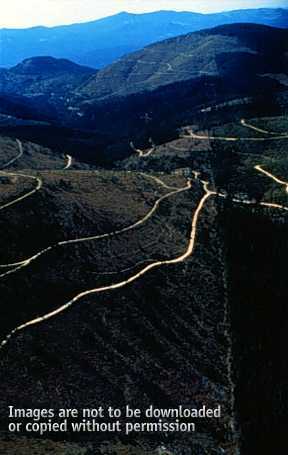 Image showing forest management on private lands near Interstate-90, about 50 miles north of Mount Rainier.