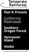 Image that says Temperate Rainforest: California Redwoods.