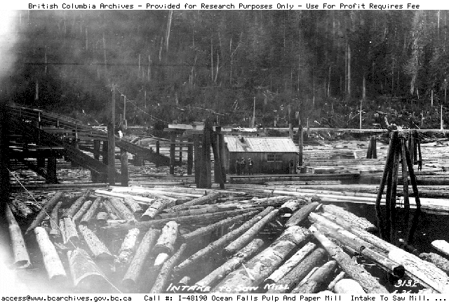 Image of showing the intake to the saw mill at Ocean Falls Pulp and Paper Mill.  