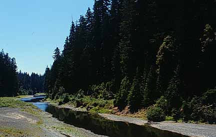 Image of the Klamath River in northern California during the summer.
