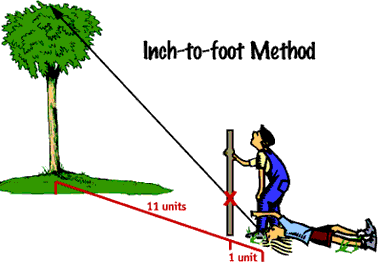 Image demostrating the Inch-to-foot method.  Please have someone assist you with this.