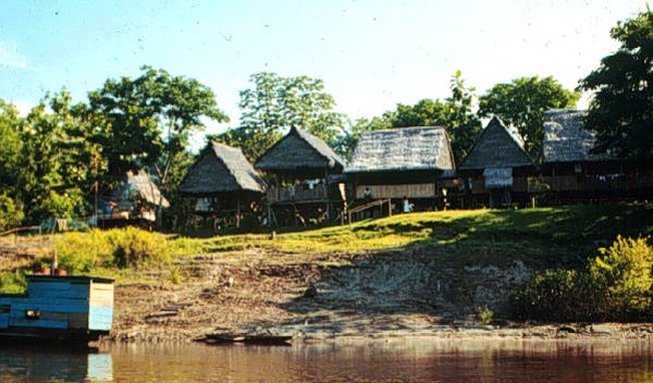 Image of research center 50 miles from Iquitos.