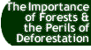 Button that takes you to The Importance of Fores and the Perils of Deforestation page.