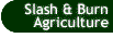 Button that takes you to the Slash and Burn Agiculture page.