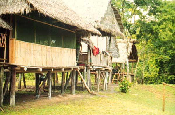 Image showing primitive conditions at a scientific research station in the Peruvian Rainforest.