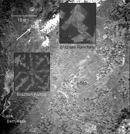 Image showing an area of farms and ranches in Yolo county, California, just northwest of Sacramento.