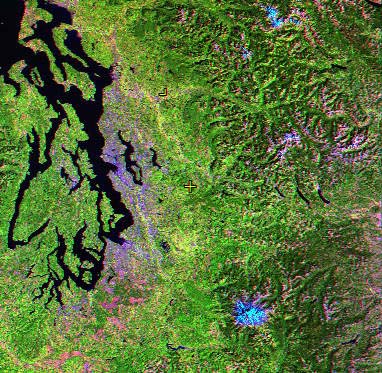 Image taken by a satellite of the Seattle-Tacoma Area.  Please have someone assist you with this.