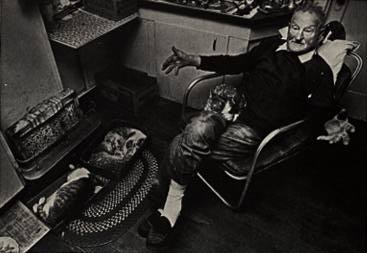 Image of Harry Truman and a couple of his cats.
