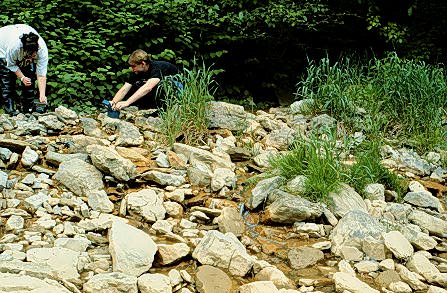 Image of two people looking at baserock.