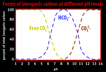 Image of a graph that displays forms of inorganic carbon at different pH levels.  Please have someone assist you with this.
