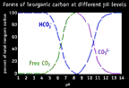 Image of a graph that displays forms of inorganic carbon at different pH levels.  This image links to a more detailed image.