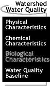 Image that says Watershed Water Quality: Biological Characteristics.