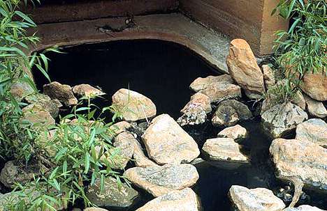 Image showing combined stormwater outflow leaking raw sewage at Site E. 