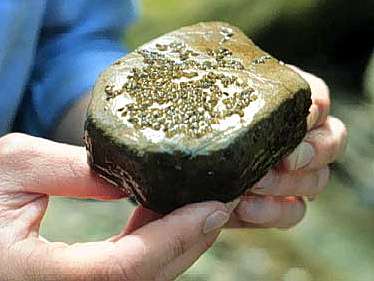 Image of a rock with fish eggs on the bottom.