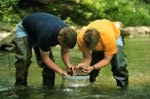 Image of two people checking rocks for bugs.  This image links to a more detailed image.