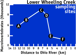 Image of a graph that displays the water quality information for lower Wheeling Creek.  Please have someone assist you with this.