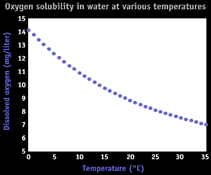 Image of a graph that displays the oxygen solubility in water at various temperatures.  Please have someone assist you with this.