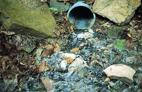Image showing untreated household sewage entering Little Wheeling Creek.