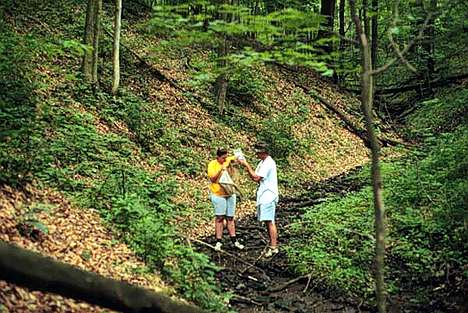 Image of Site 306: a second-order tributary of Dunkard Fork of Big Wheeling Creek.