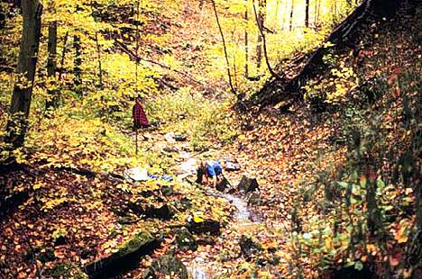 Image of Site 99: A student collecting samples, a forested first-order tributary of Middle Wheeling Creek.